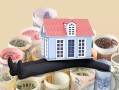 农村信用社贷款利率解析与比较