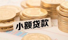 东莞空借哪里有小额贷款-东莞空借身份证贷款平台-东莞空借民间短借